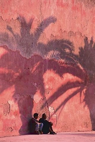 PENDIENTES ROSA ENTRE PALMERAS