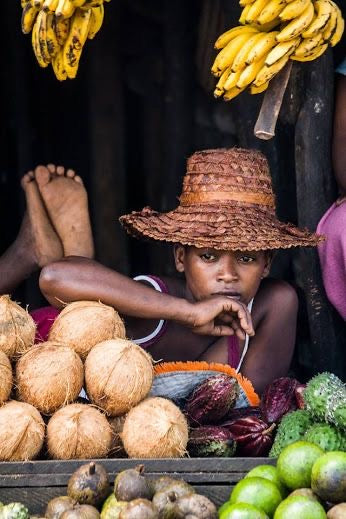 MALA RAÍCES DEL SOL